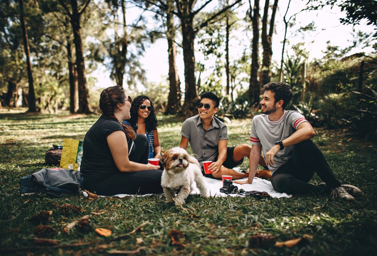 A group of friends sits on a blanket in a park surrounded by trees. They have a dog and are enjoying a picnic.